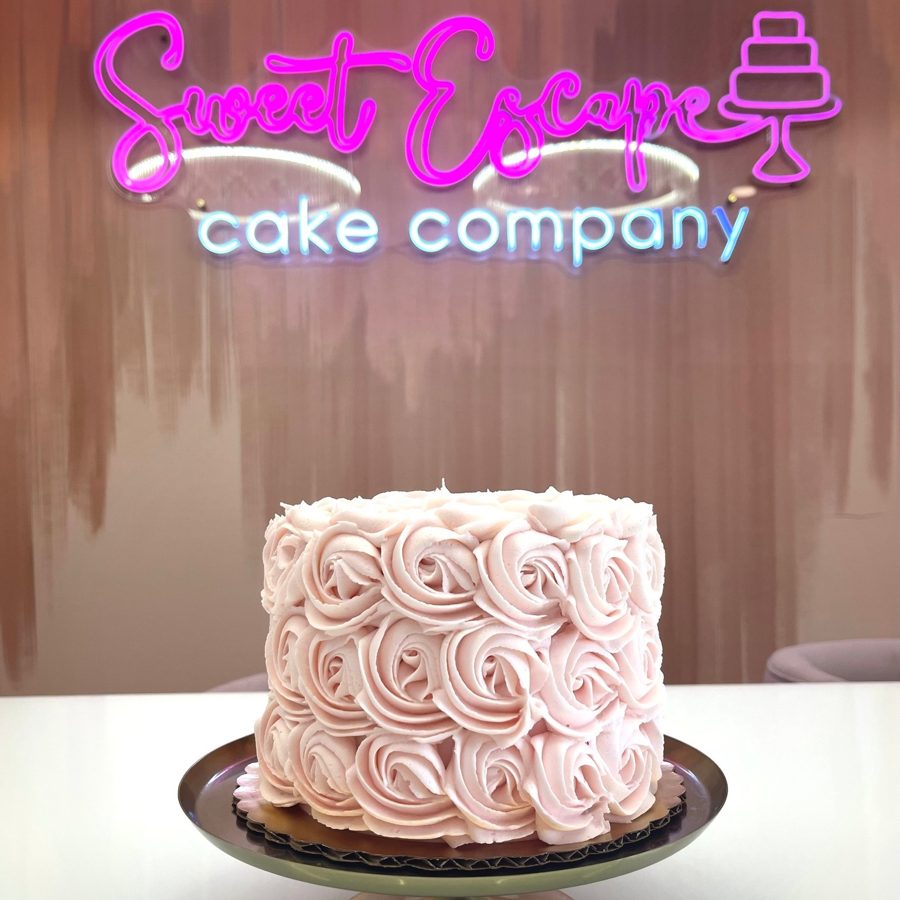 A beautiful round single-tier cake decorated with light pink buttercream rosettes, perfect for a birthday or special celebration.